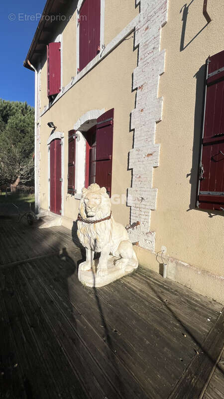 Maison de caractère classée de 1860 — 196 m2 sur un domaine boisé de 4 hectares Solférino (40210) - photo 32