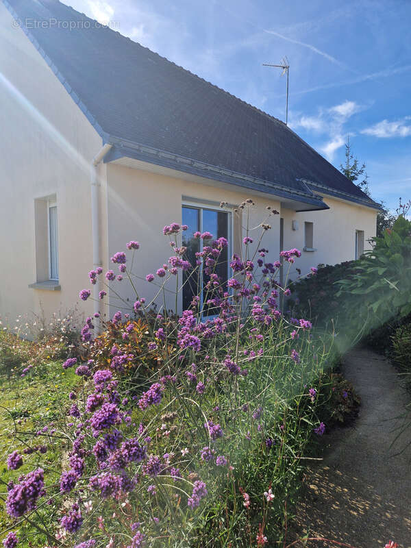 Maison à MELRAND