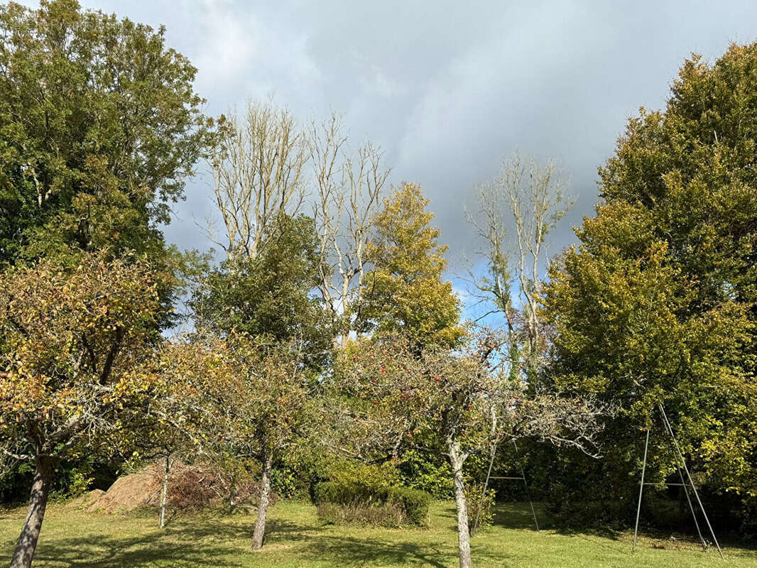 Maison à NEUFCHATEL-EN-BRAY