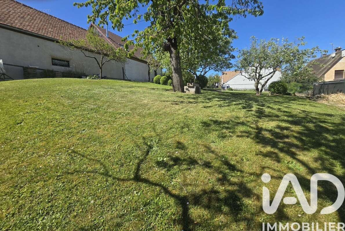 Photo 8 - Terrain à WALTENHEIM-SUR-ZORN