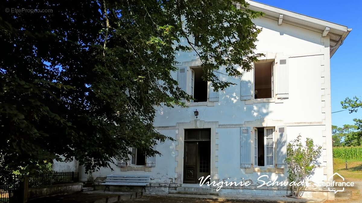 POUILLON (40) Maison de caractère 14 pièces – 9 chambres – Dépendances – 1 hectare de terrain - photo 4