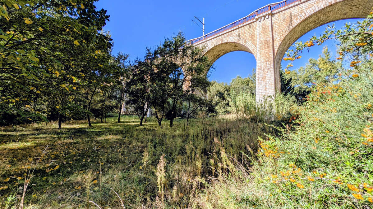 Terrain à LE BOULOU