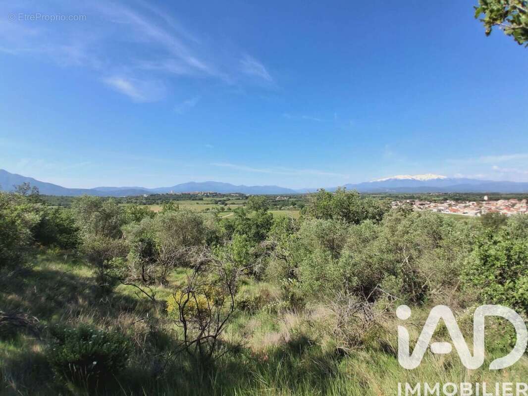 Photo 4 - Terrain à BROUILLA