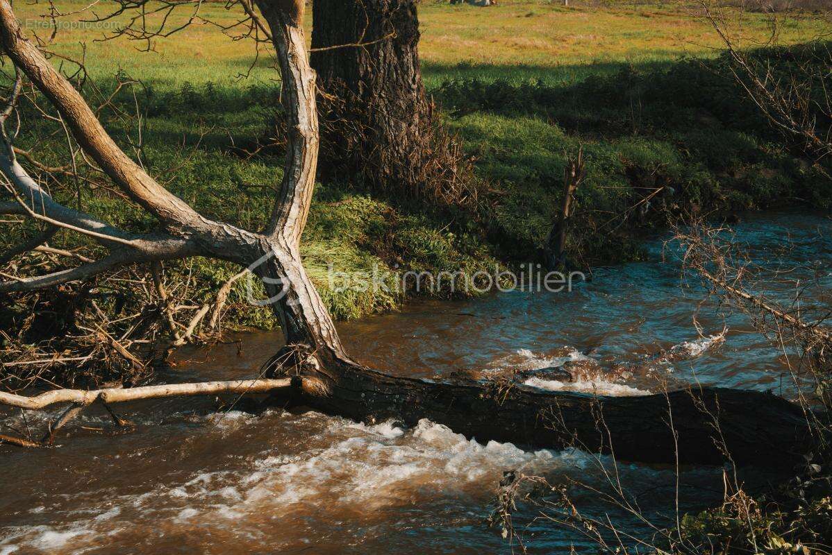 Terrain à SAINT-PONS-DE-THOMIERES
