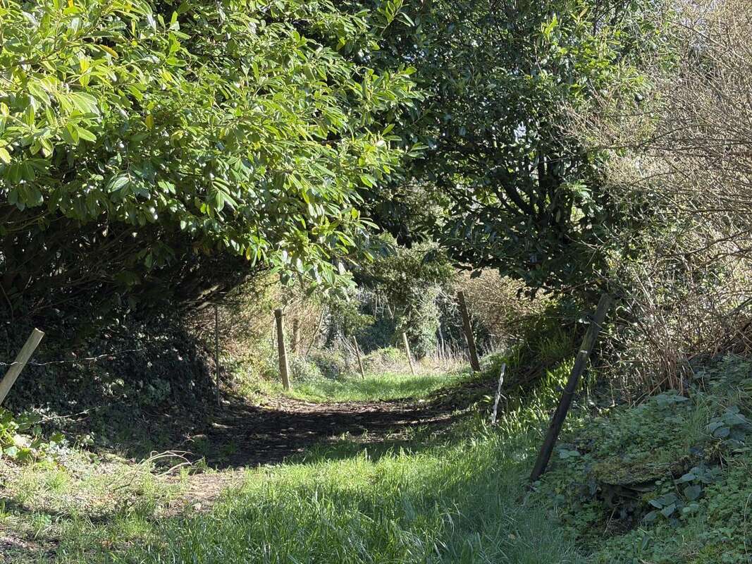 Maison à PLOUNEOUR-MENEZ