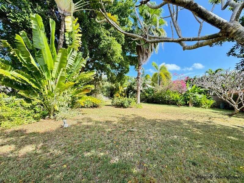 Maison à SAINT-FRANCOIS