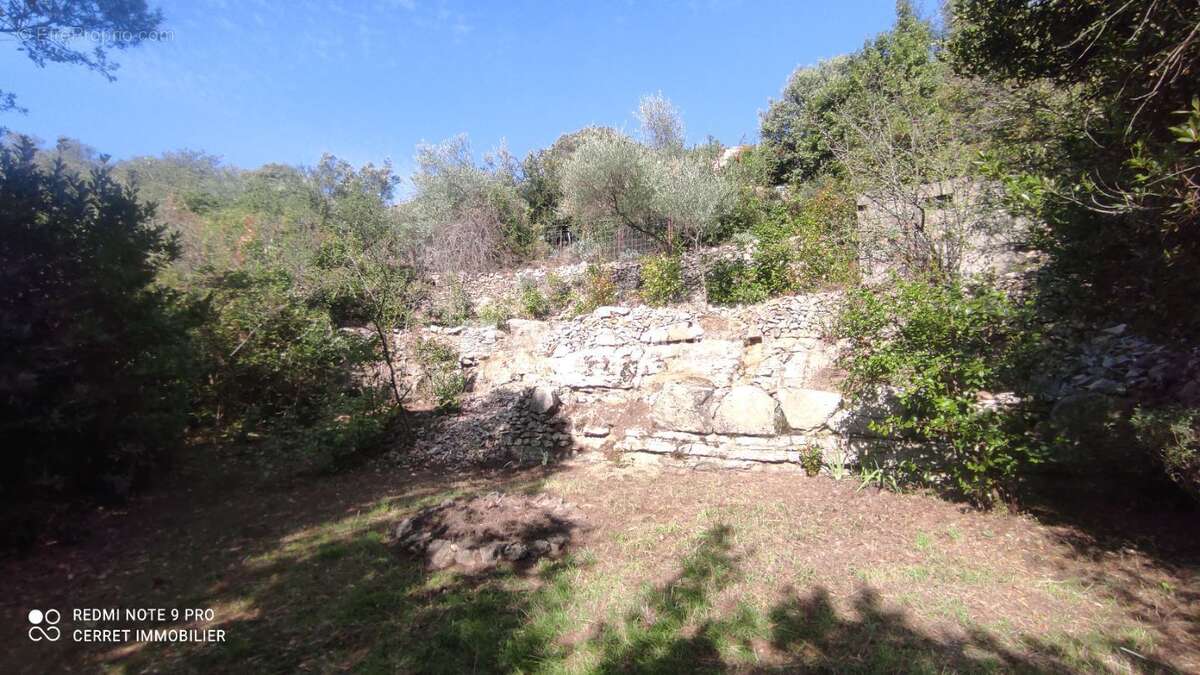 Terrain à MONOBLET