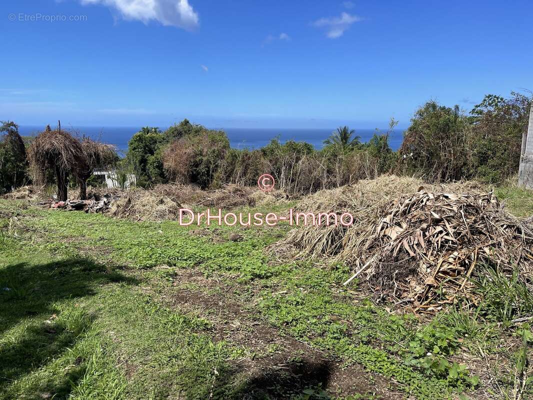 Terrain à VIEUX-HABITANTS
