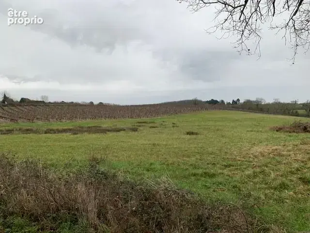 Terrain à SAINT-MARTIN-DU-BOIS