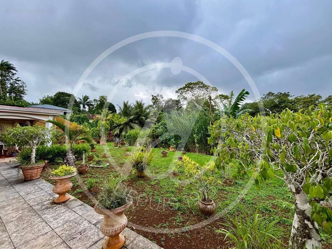 Maison à PETIT-BOURG