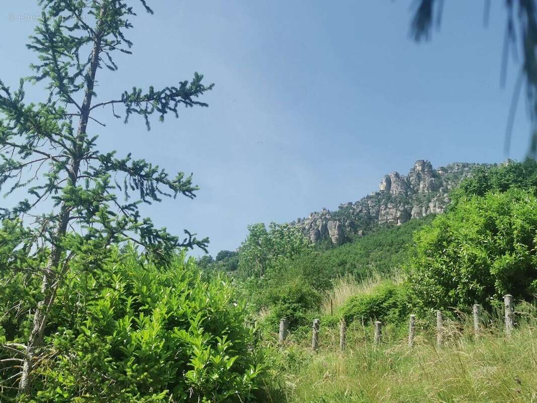 Terrain à bâtir Mostuejouls (12720) - photo 4