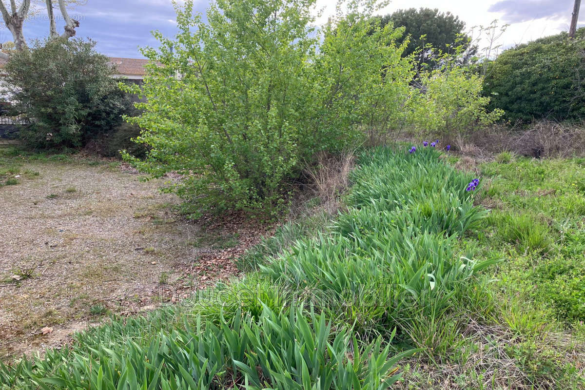 Terrain à NISSAN-LEZ-ENSERUNE