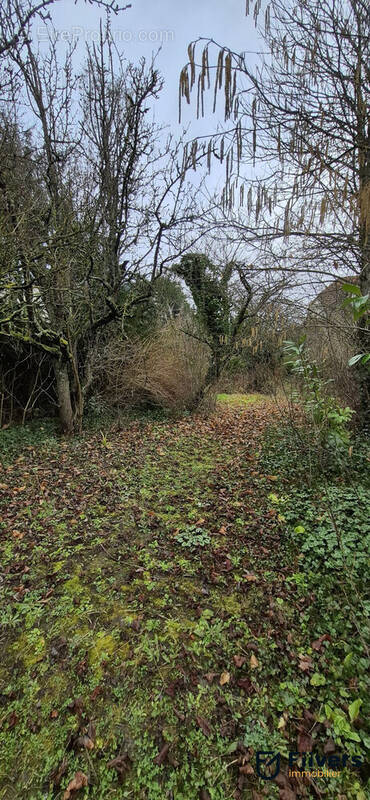 Terrain à SAINT-FARGEAU-PONTHIERRY