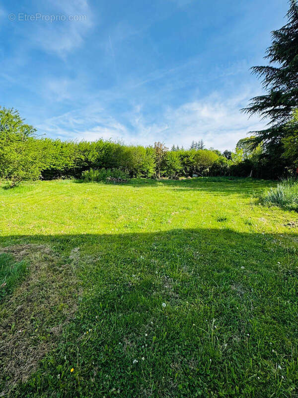 Terrain à BRIE-ET-ANGONNES