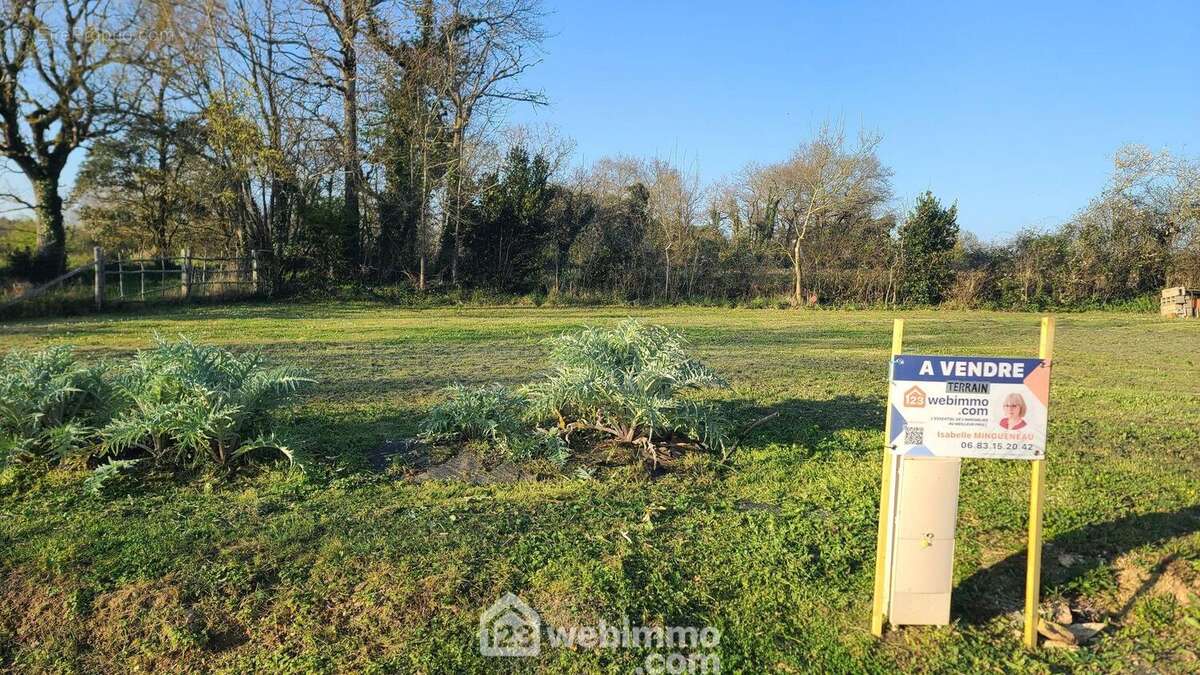 Terrain à bâtir viabilisé - Terrain à TALMONT-SAINT-HILAIRE