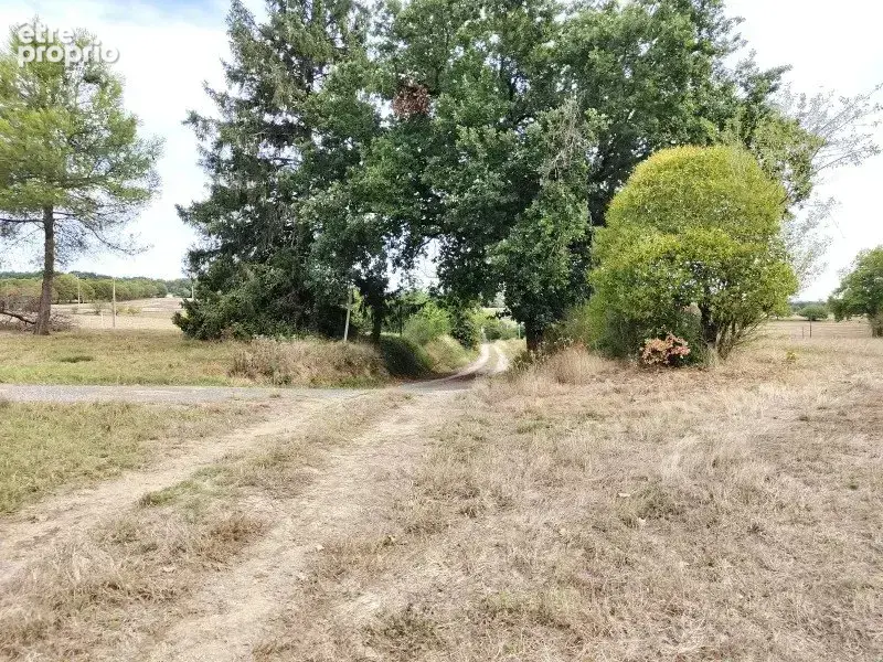 Maison ancienne, vue dégagée, 2,2ha, proche village dynamique - photo 15