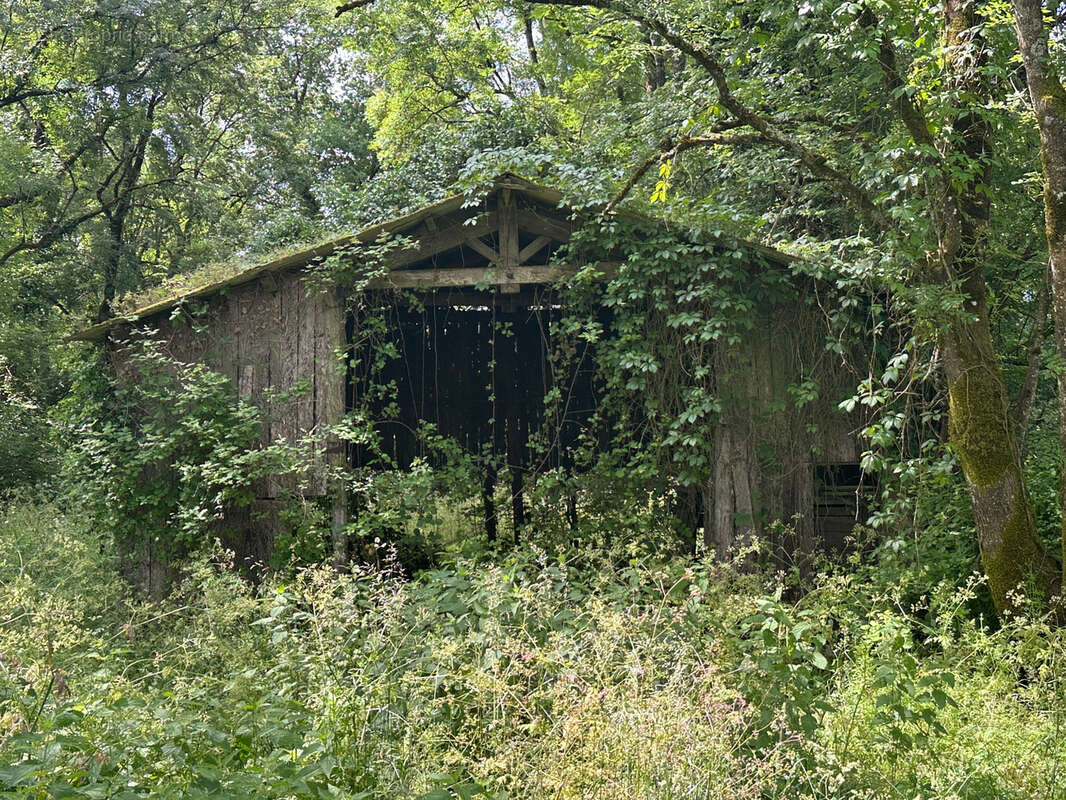 Terrain à CHENAUD