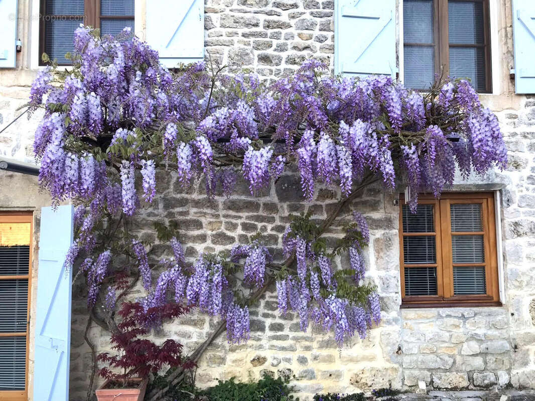 Près de Verteuil-sur Charente, Charmante Maison de Village Indépendante en Pierre, Vue, Superbes Jardins Champêtres - photo 11