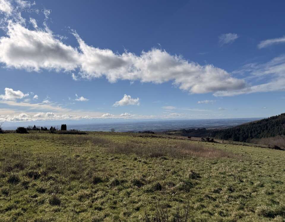 Terrain à LES BRUNELS