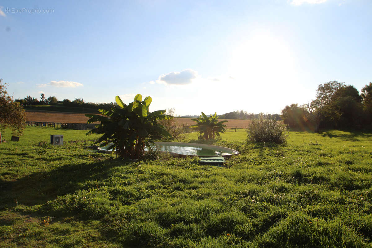 Maison à MONTAIGU-LE-BLIN