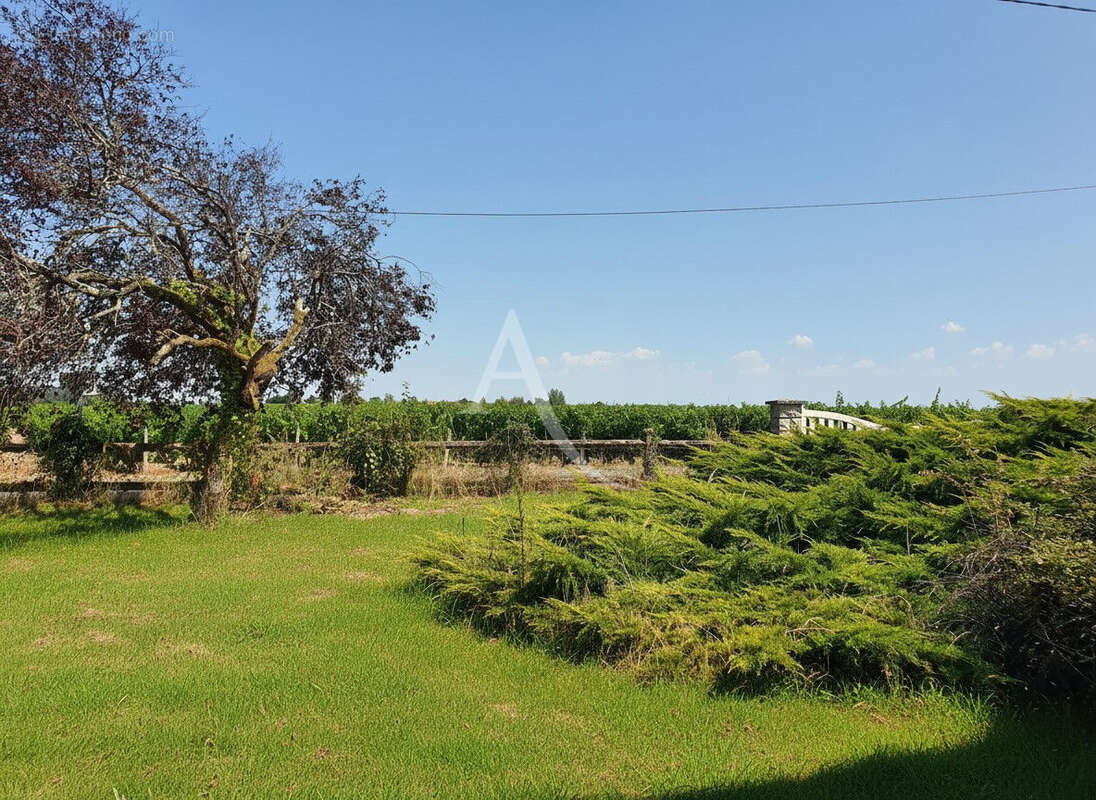 Maison à vendre  à noyers sur cher - photo 4