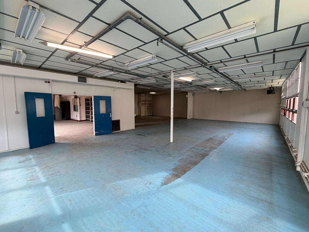 Commerce à CAUCALIERES