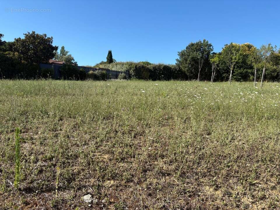 Terrain 600 m² à Cepet  - photo 4