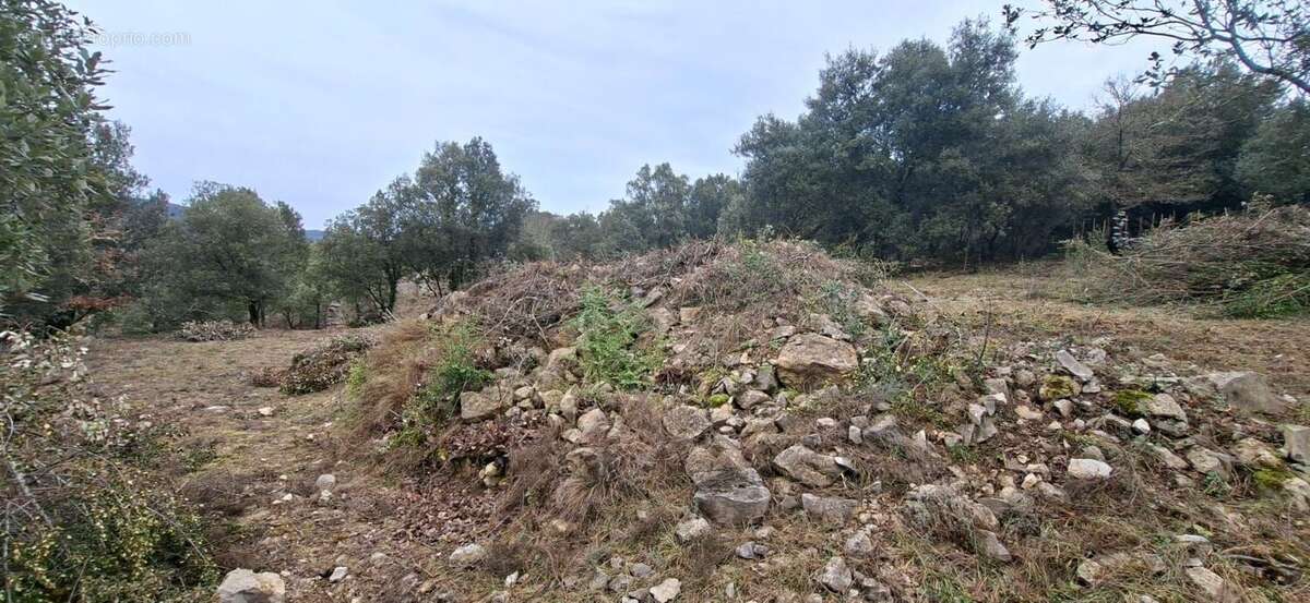 Terrain à SAINT-MAURICE-D'IBIE