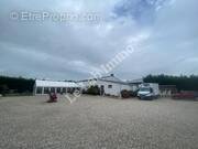 Commerce à OCTEVILLE-SUR-MER