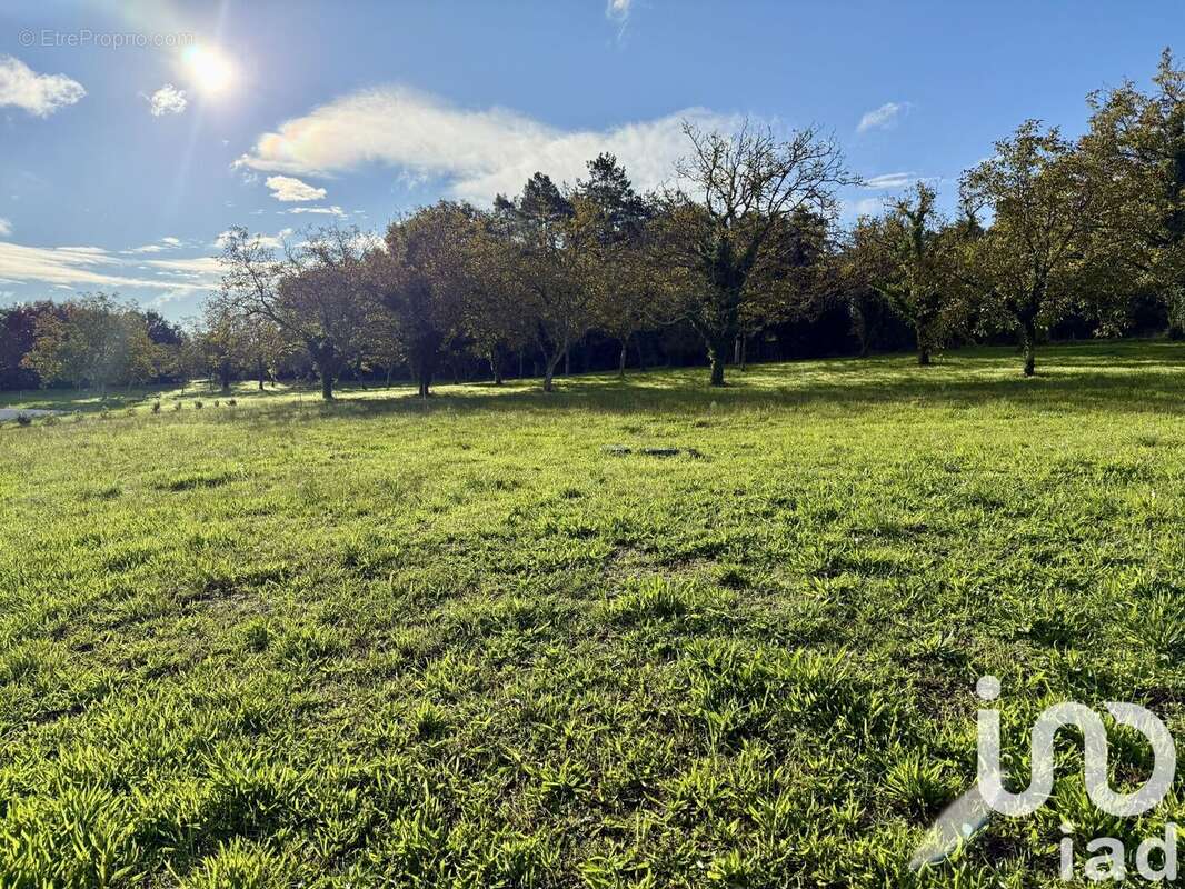 Photo 2 - Maison à SARLAT-LA-CANEDA