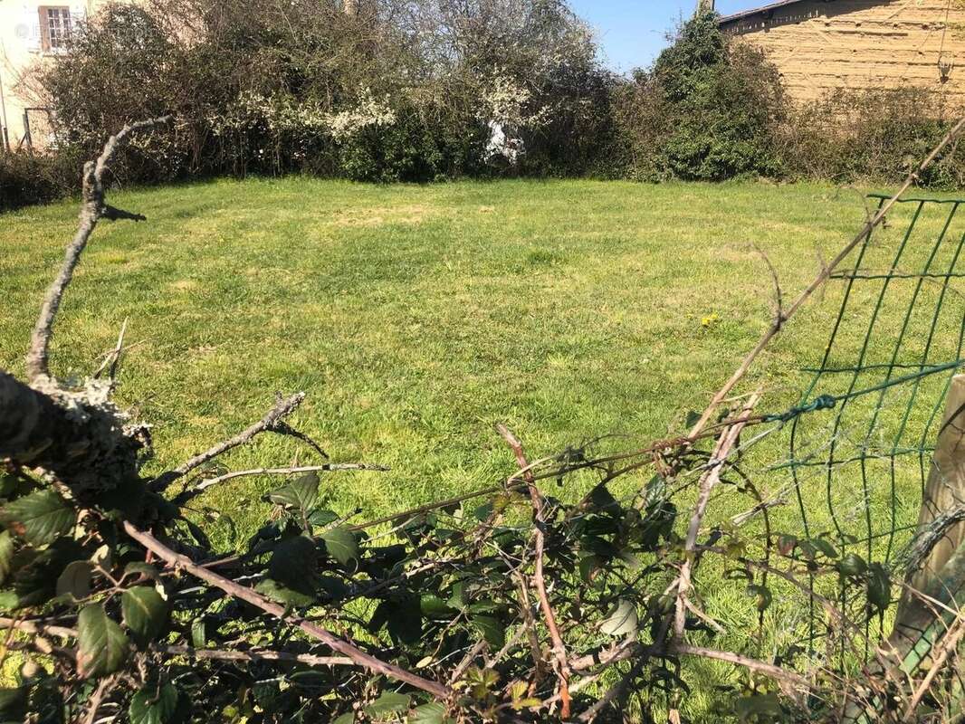 Terrain à ESCOUTOUX