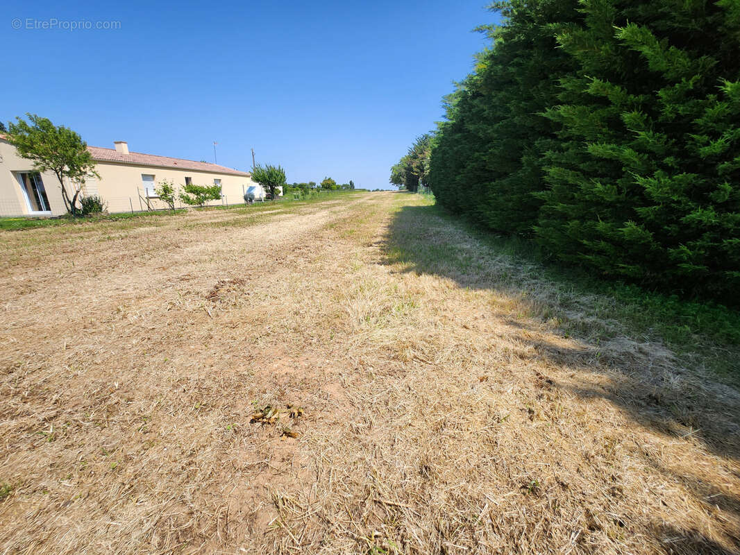 Terrain constructible hors lotissement à viabiliser - photo 3