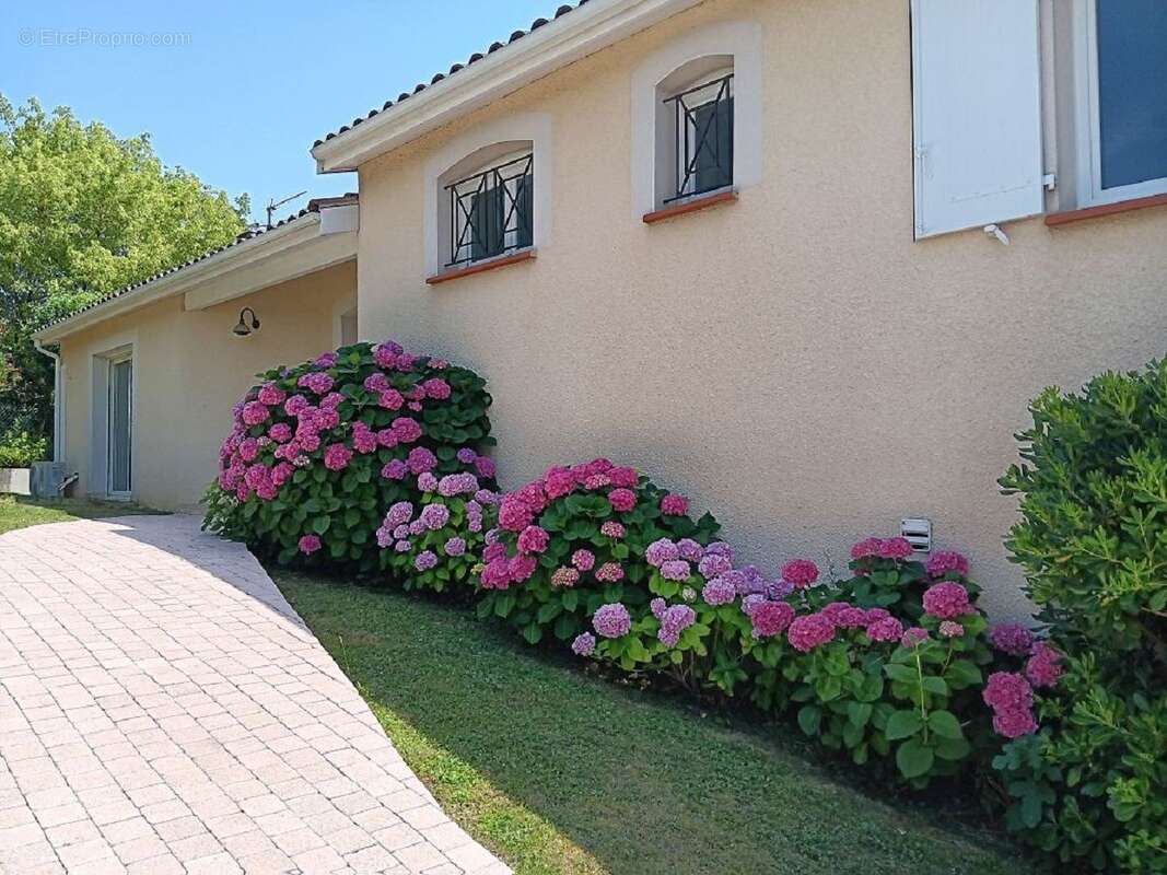 Maison à QUINT-FONSEGRIVES