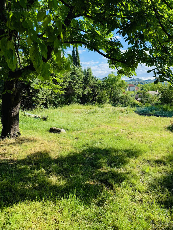 Terrain à SAINT-HIPPOLYTE-DU-FORT