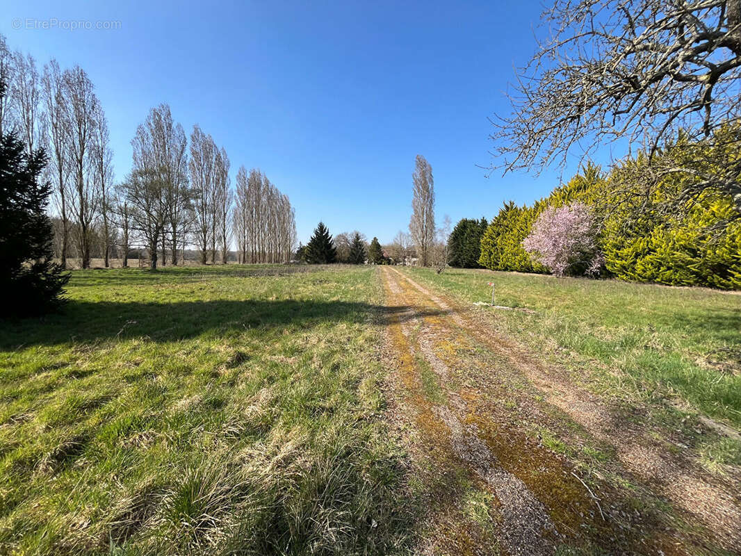 Maison à CHEVILLON-SUR-HUILLARD