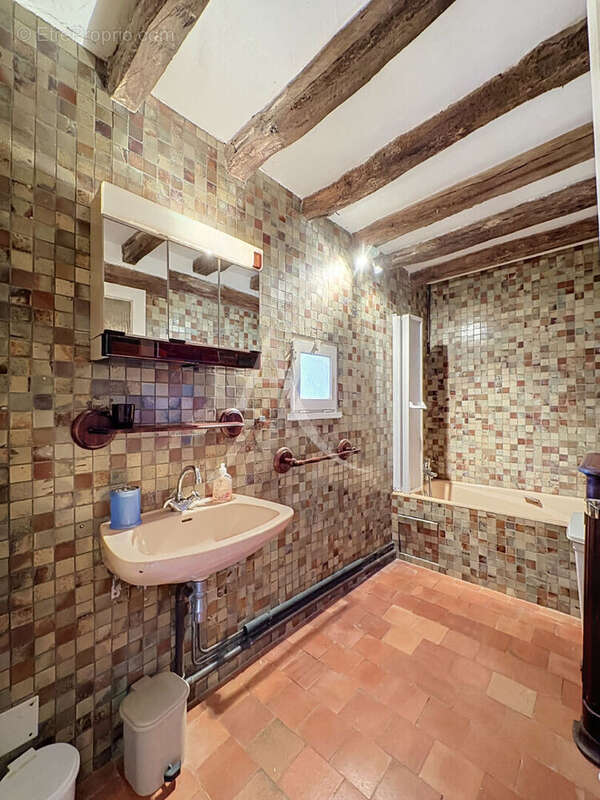 Propriété  avec moulin,  Charme et potentiel exceptionnel - photo 8