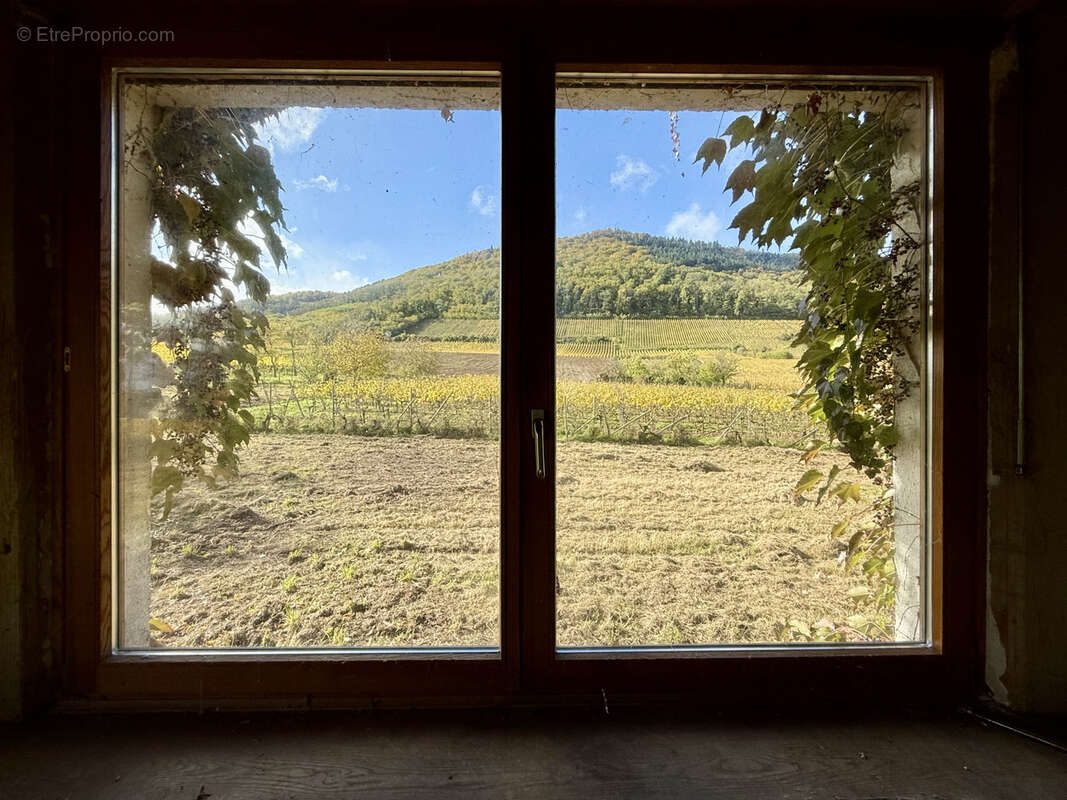 Terrain à CHATENOIS