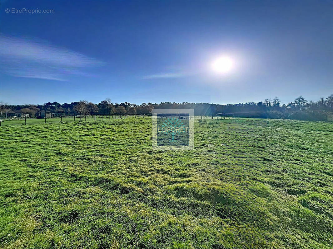 Terrain à SAINT-AUBIN-DE-BLAYE