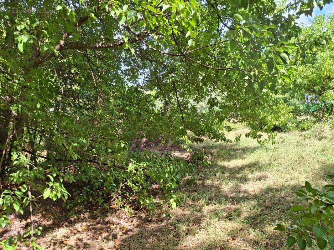 Terrain à TERRE-DE-BAS