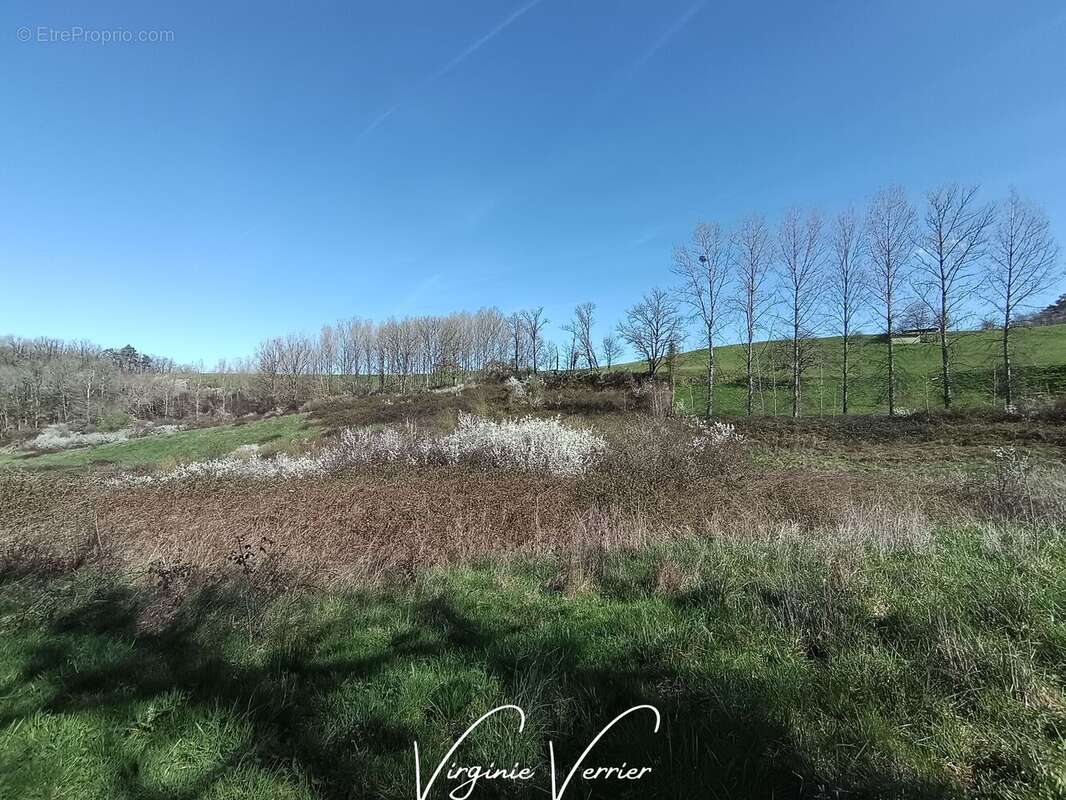 Terrain à LOUIGNAC