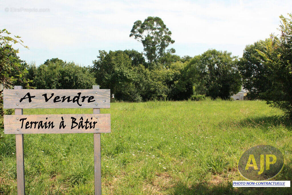 Terrain à L'AIGUILLON-SUR-VIE