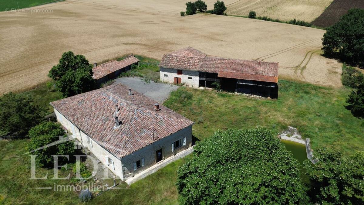 Maison à MONFORT
