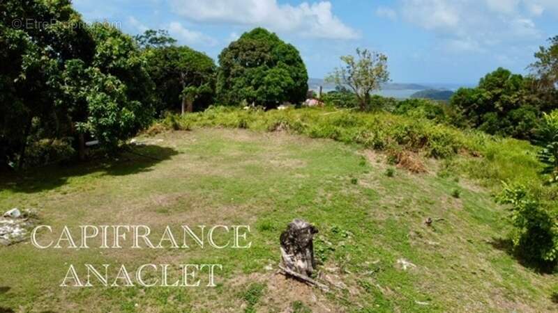 Terrain à LA TRINITE