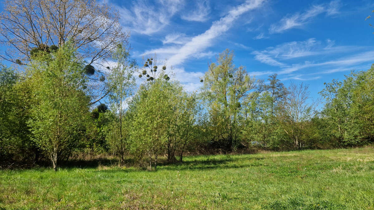 Terrain à MAINTENON