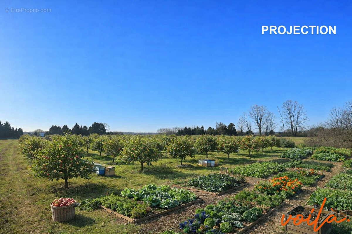 REF - TERRE - BRAM - Terrain 7970m² - photo 2