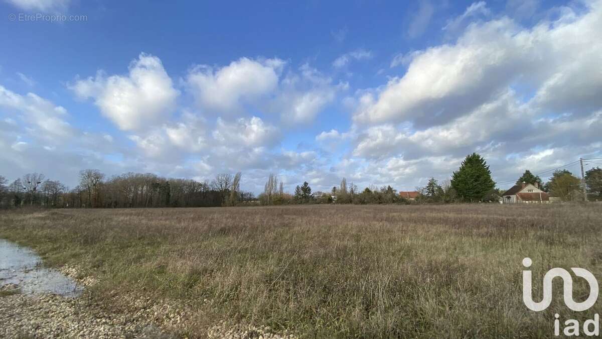 Photo 1 - Terrain à LA COUR-MARIGNY