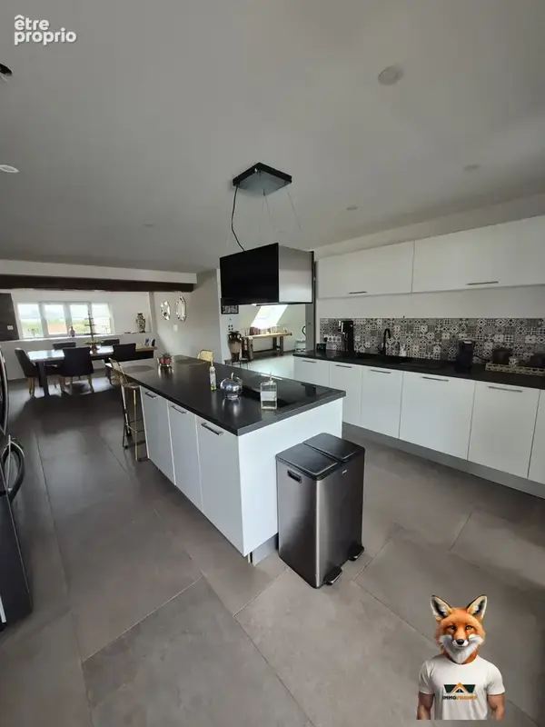 Appartement 6 pièces 173 m² à vendre à Delle (90100) - photo 5