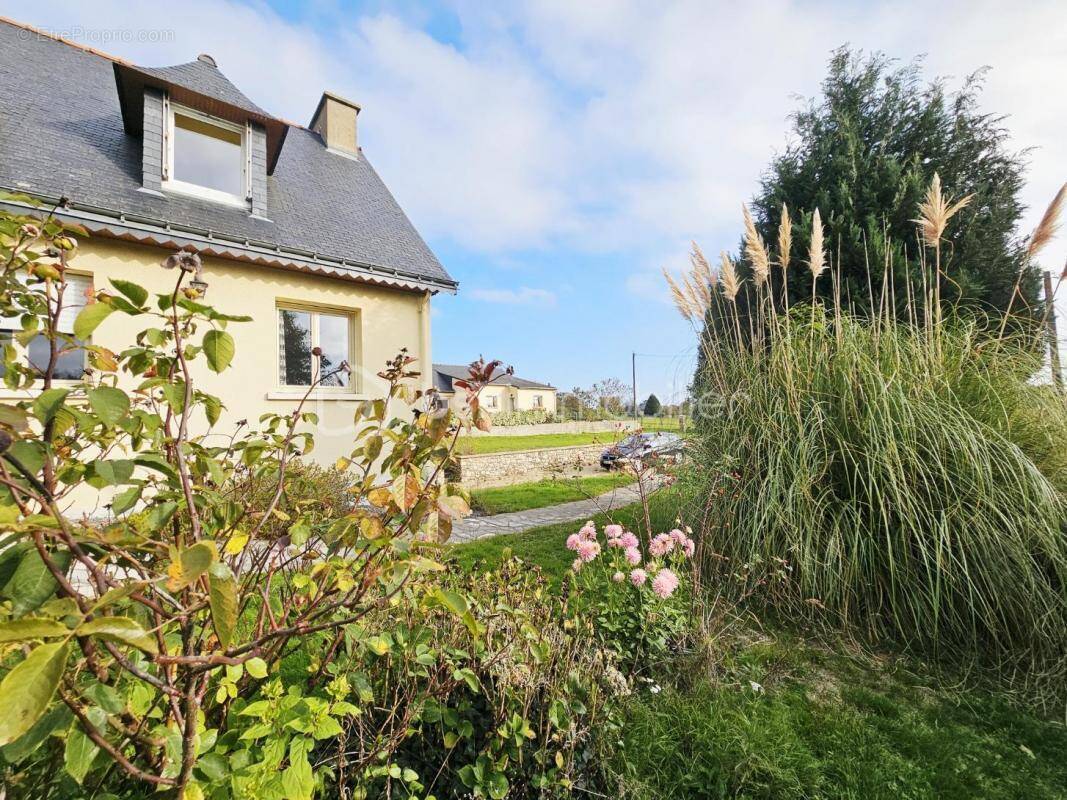 Maison à MAURE-DE-BRETAGNE