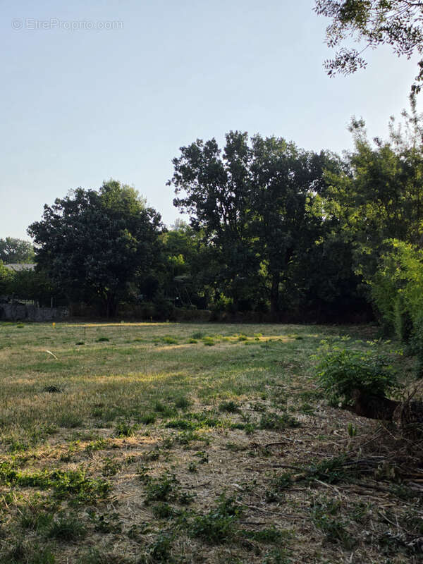 Nouveau lotissement 5 lots Labège village - photo 2