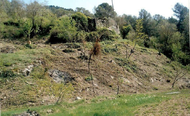 Terrain à PEILLE